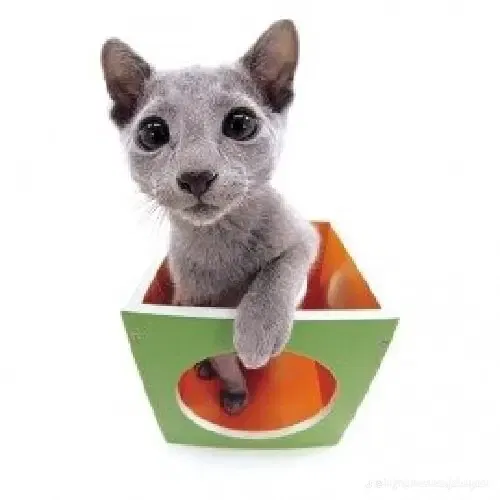 Avatar of HGGGHOT 