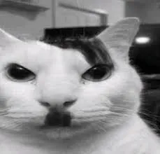 Avatar of KatzenSindKool