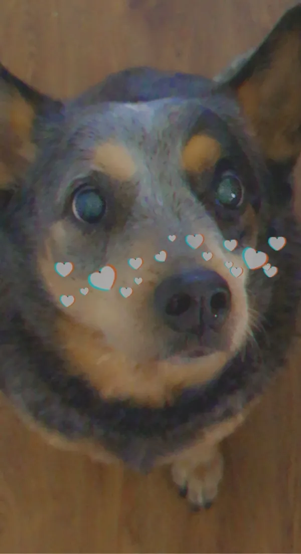 Avatar of xSourRainbowx