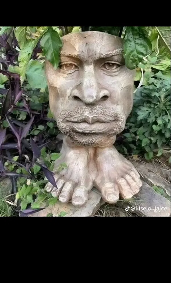 Avatar of Noah71270