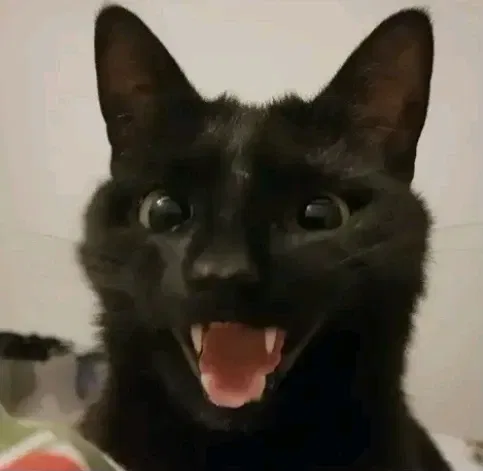 Avatar of Kᛁᚱᚨ