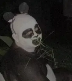 Avatar of anesu_.4l