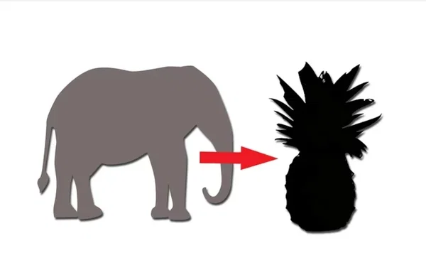 Avatar of treeliner