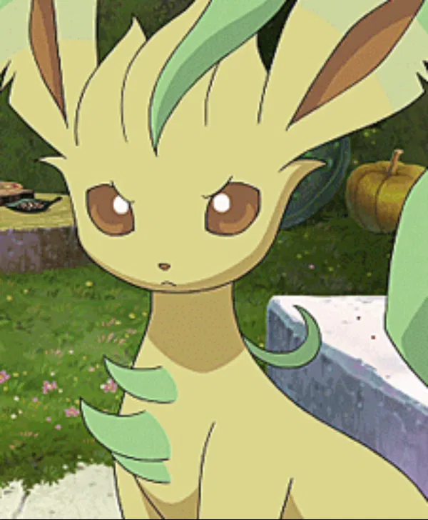 Avatar of Leafi Liana