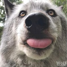 Avatar of Baylee756