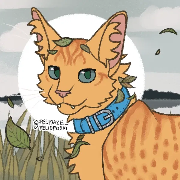 Avatar of Justtaylor248
