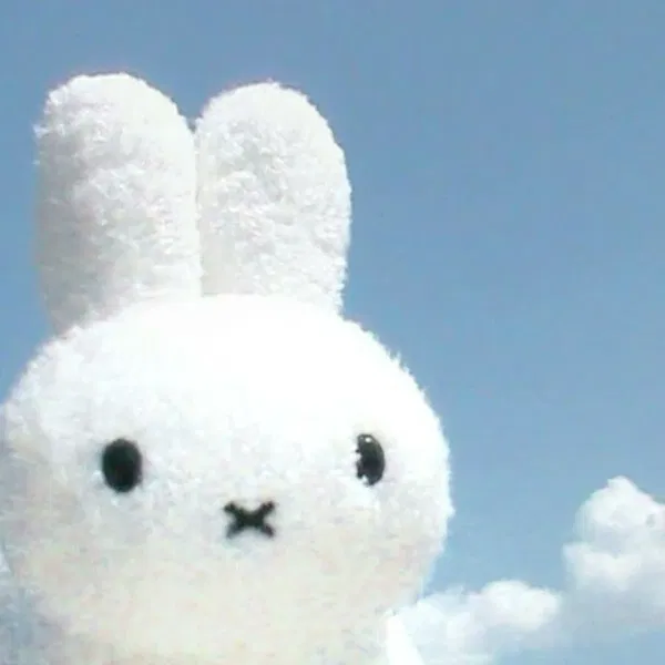 Avatar of popelientje