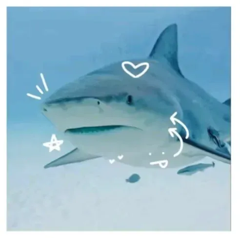 Avatar of Bennyyy