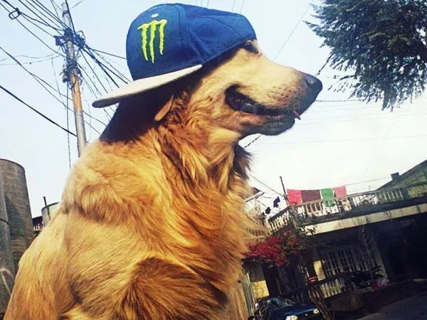 Avatar of Bennyyy