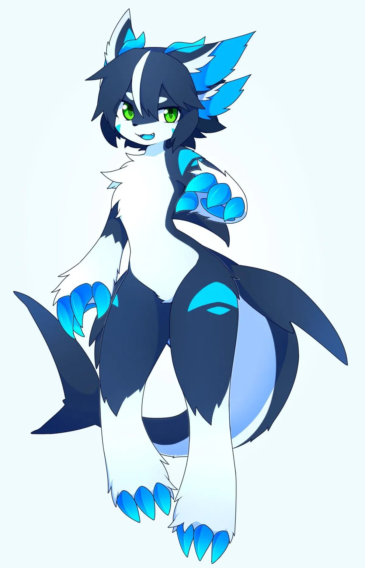 Avatar of shorkk