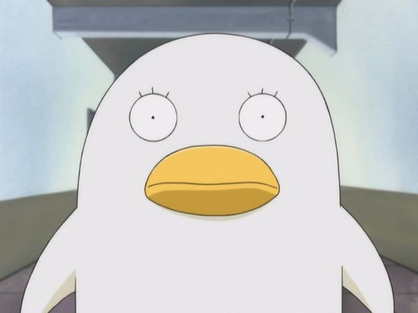 Avatar of skybluu