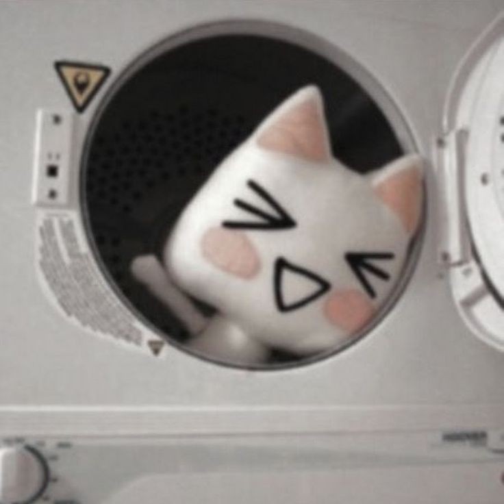 Avatar of tiredasteriaaa