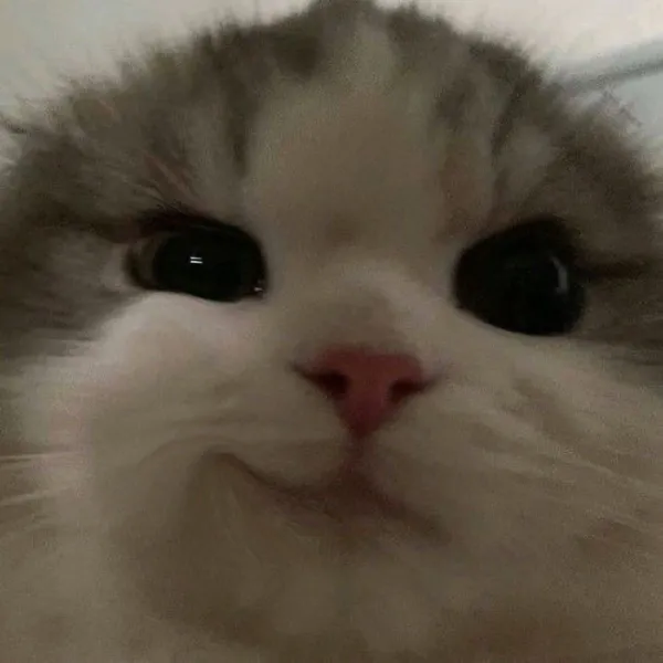 Avatar of BasicBreathingPerson