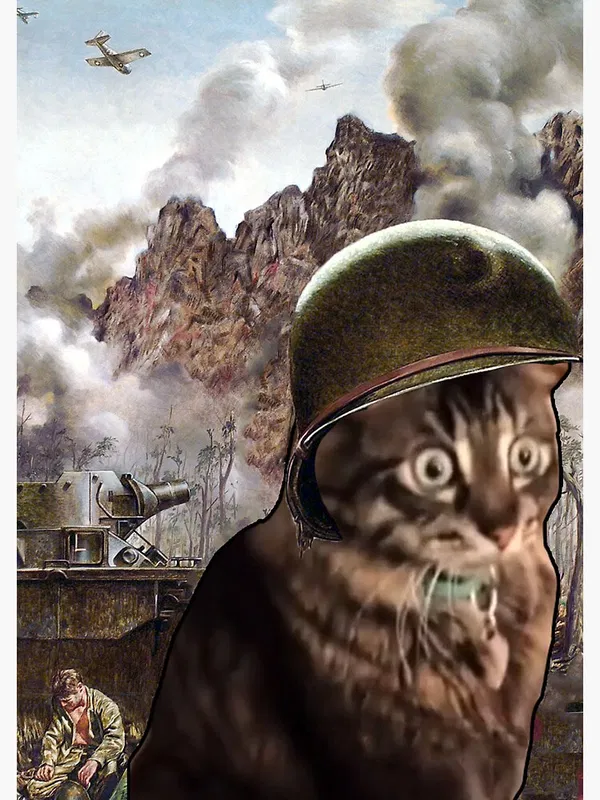 Avatar of Dave23452534