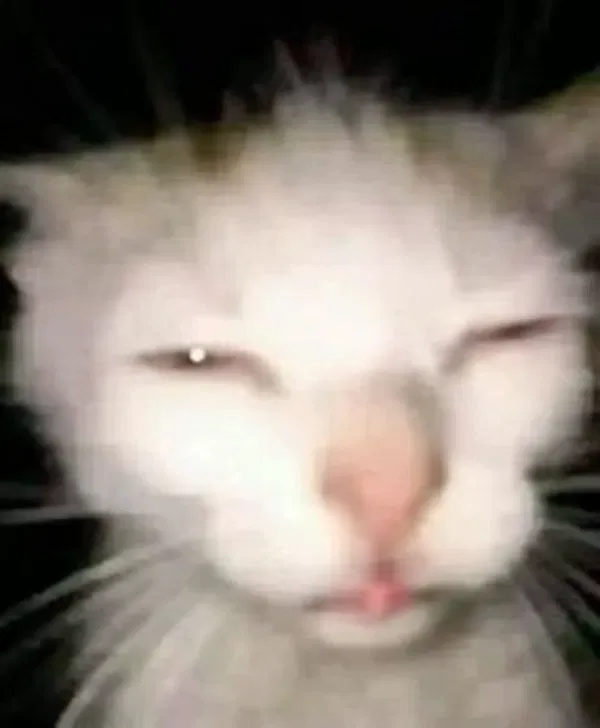 Avatar of Jdstm