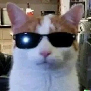 Avatar of RamenEnjoyer