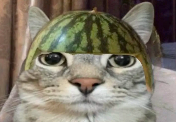 Avatar of LEVI_BONDER