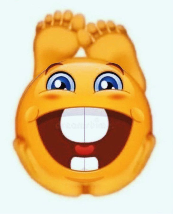 Avatar of brookiecookie 