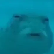 Avatar of BreDD