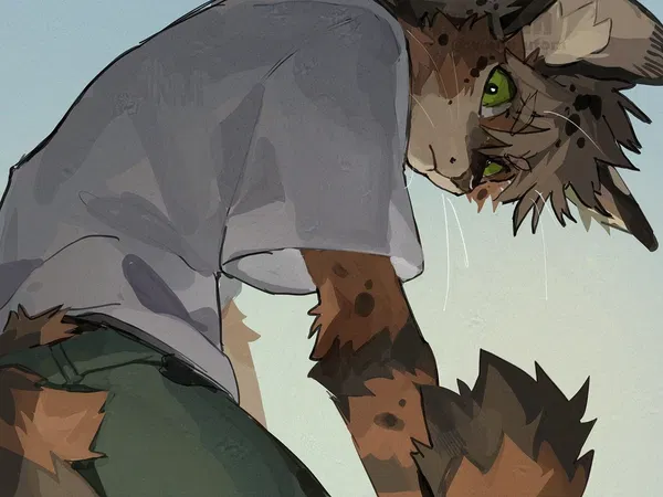 Avatar of BSF1LYNX