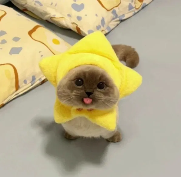 Avatar of ImDefinitelyNotWeird
