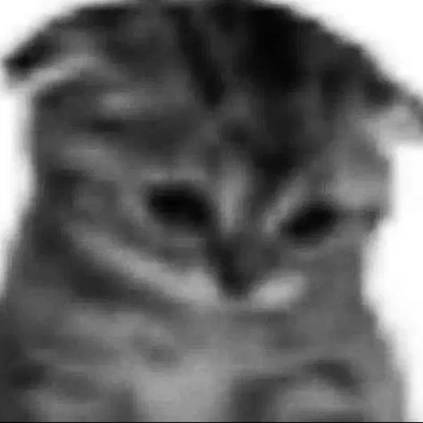 Avatar of Nigarkarabiga
