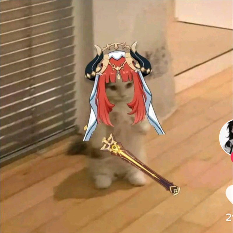 Avatar of Naminaia
