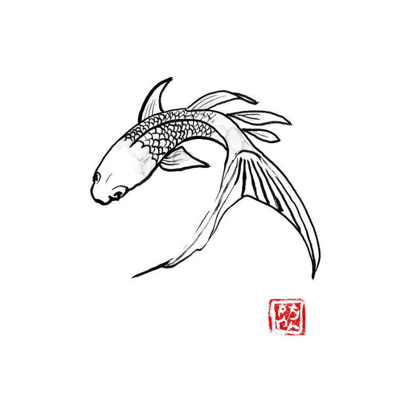 Avatar of DVD420