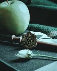 Avatar of lilywallace5678