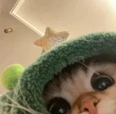 Avatar of URDAILYDOSEOFME