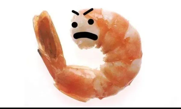 Avatar of Weird shrimp