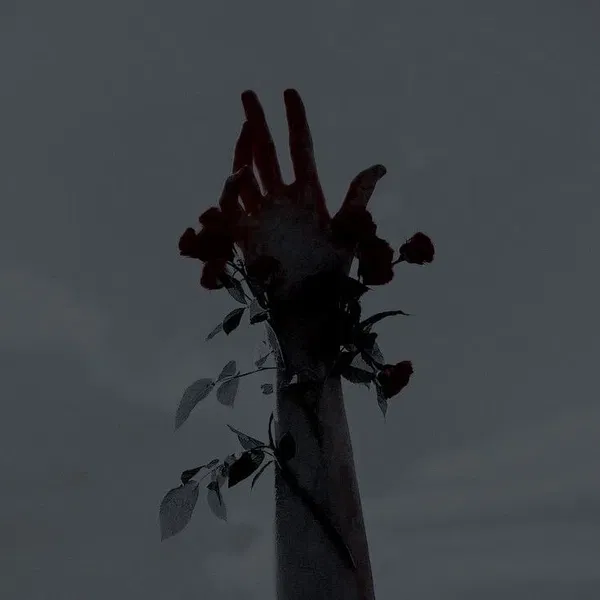 Avatar of burnmark