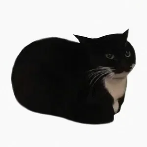 Avatar of grey-does-things