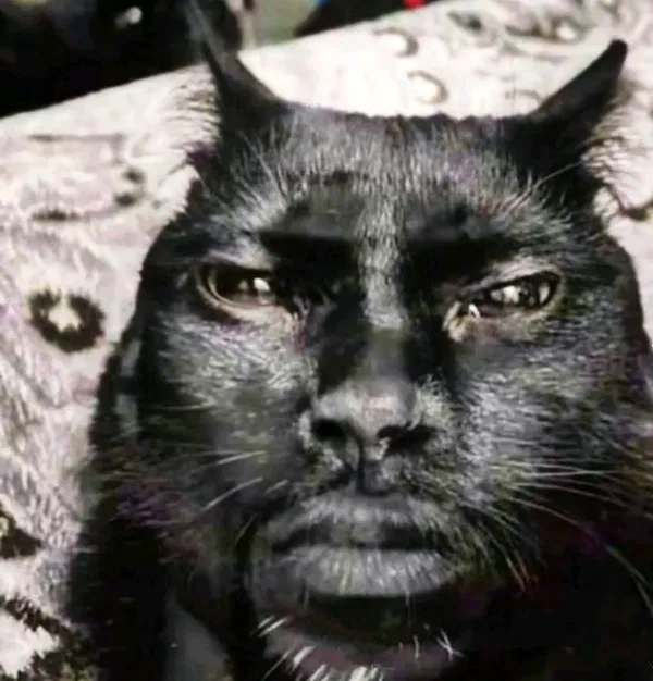 Avatar of Karlozzzzz