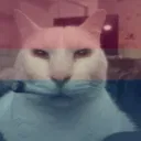 Avatar of FUNF