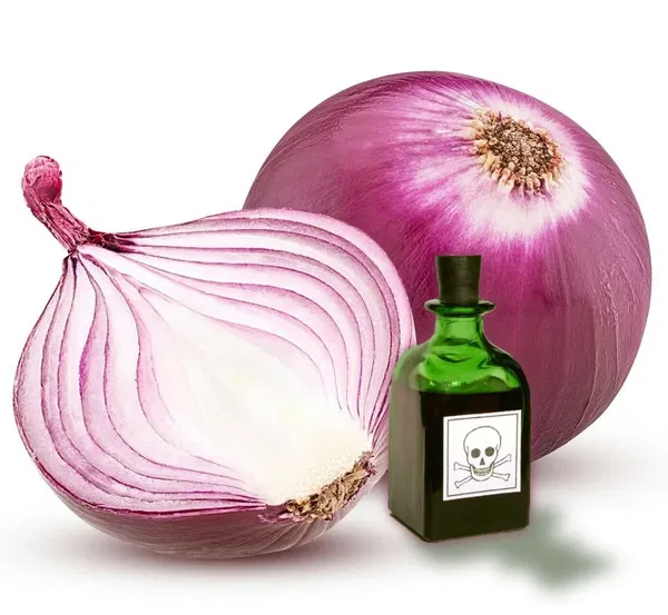 Avatar of Toxic Onion