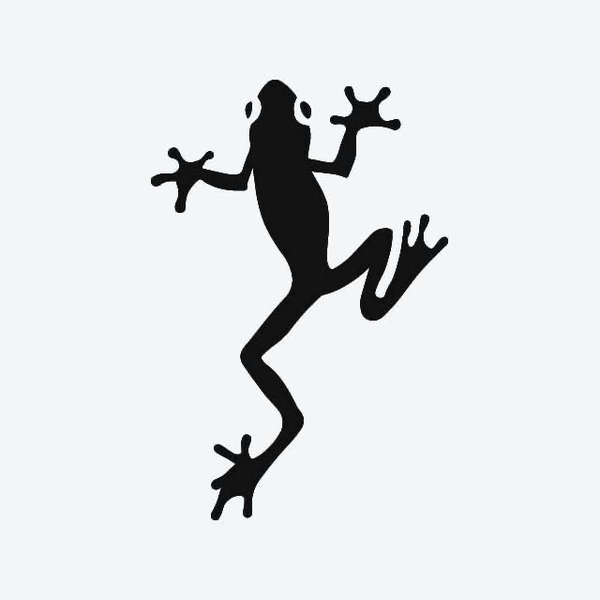 Avatar of goosehasanirondeficiency