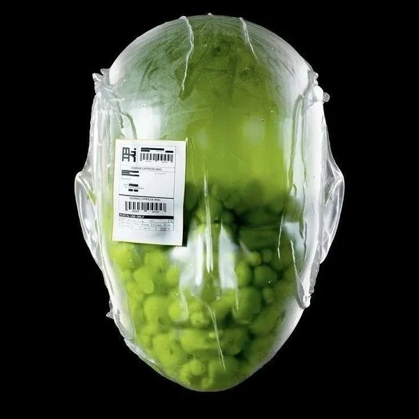 Avatar of obessedwuggmbgdn