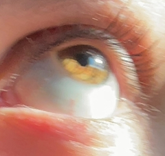Avatar of feebie