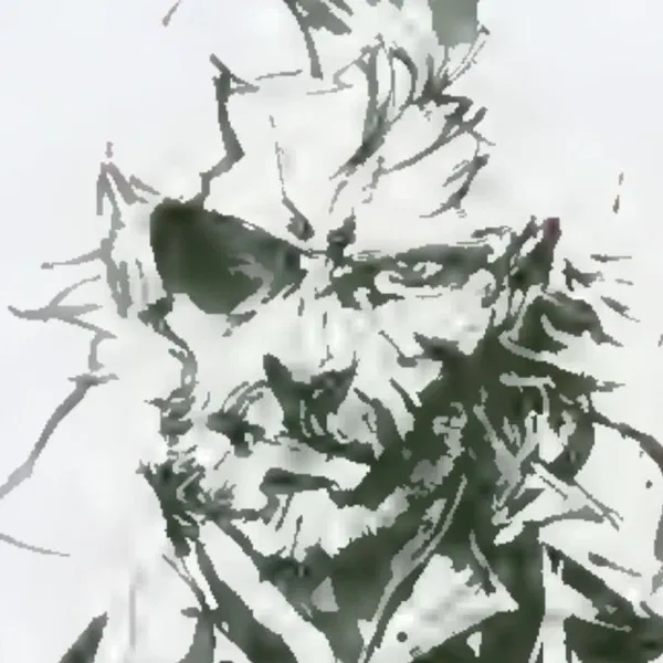 Avatar of bleeod