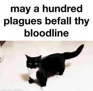 Avatar of bingus321