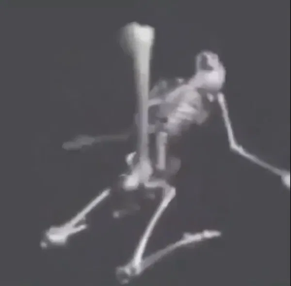 Avatar of BonerLOL
