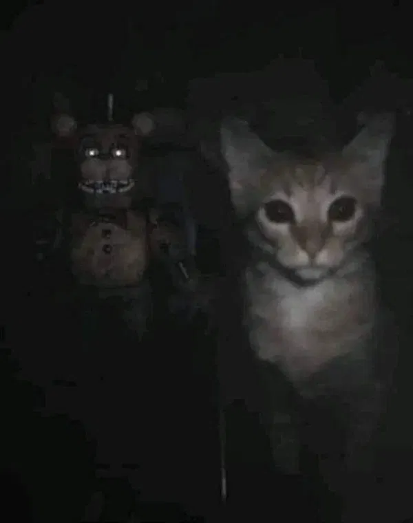 Avatar of mdkwnziakzo
