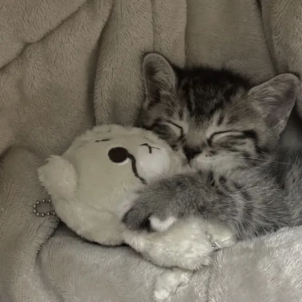 Avatar of sleepysterling