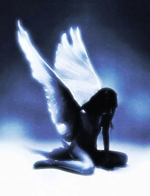 Avatar of Michelle.oko