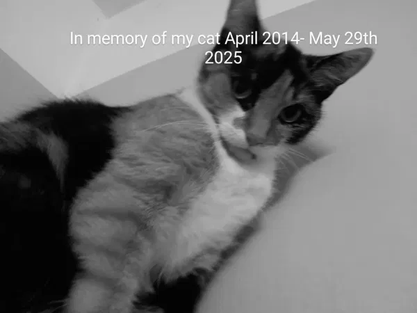 Avatar of EEmilll2