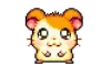 Avatar of DamesWasHere