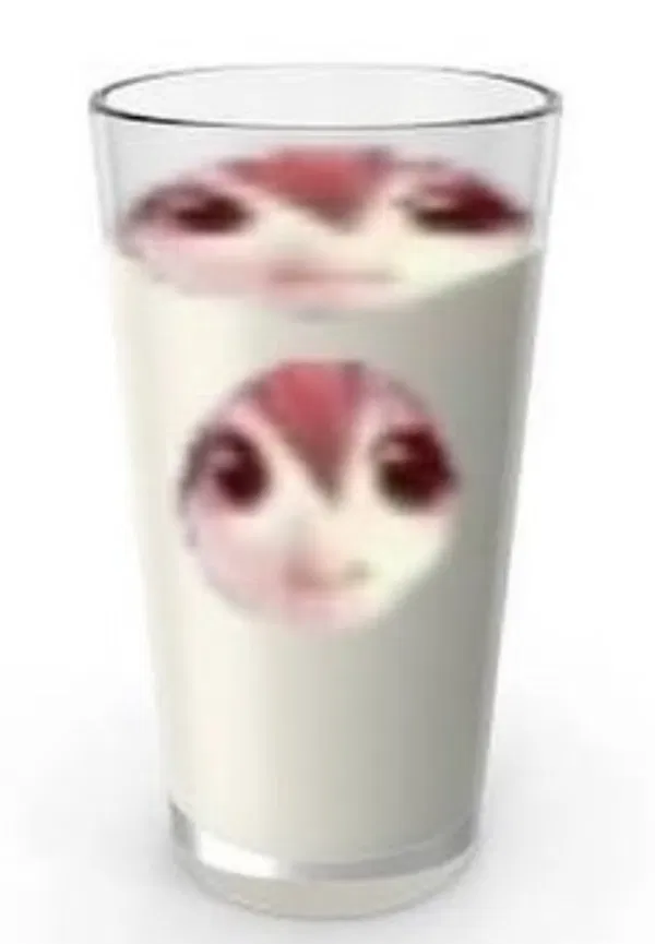 Avatar of CK29