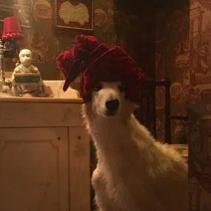 Avatar of geburasbitch