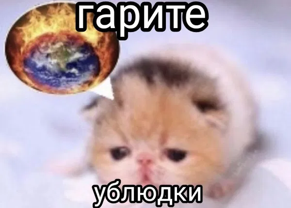 Avatar of gryfg